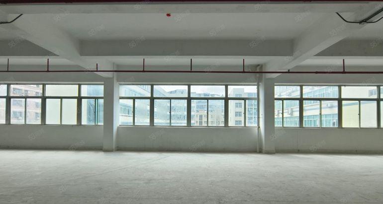 布吉上水经附近300平起厂房出租 园区仓库300平起出租转