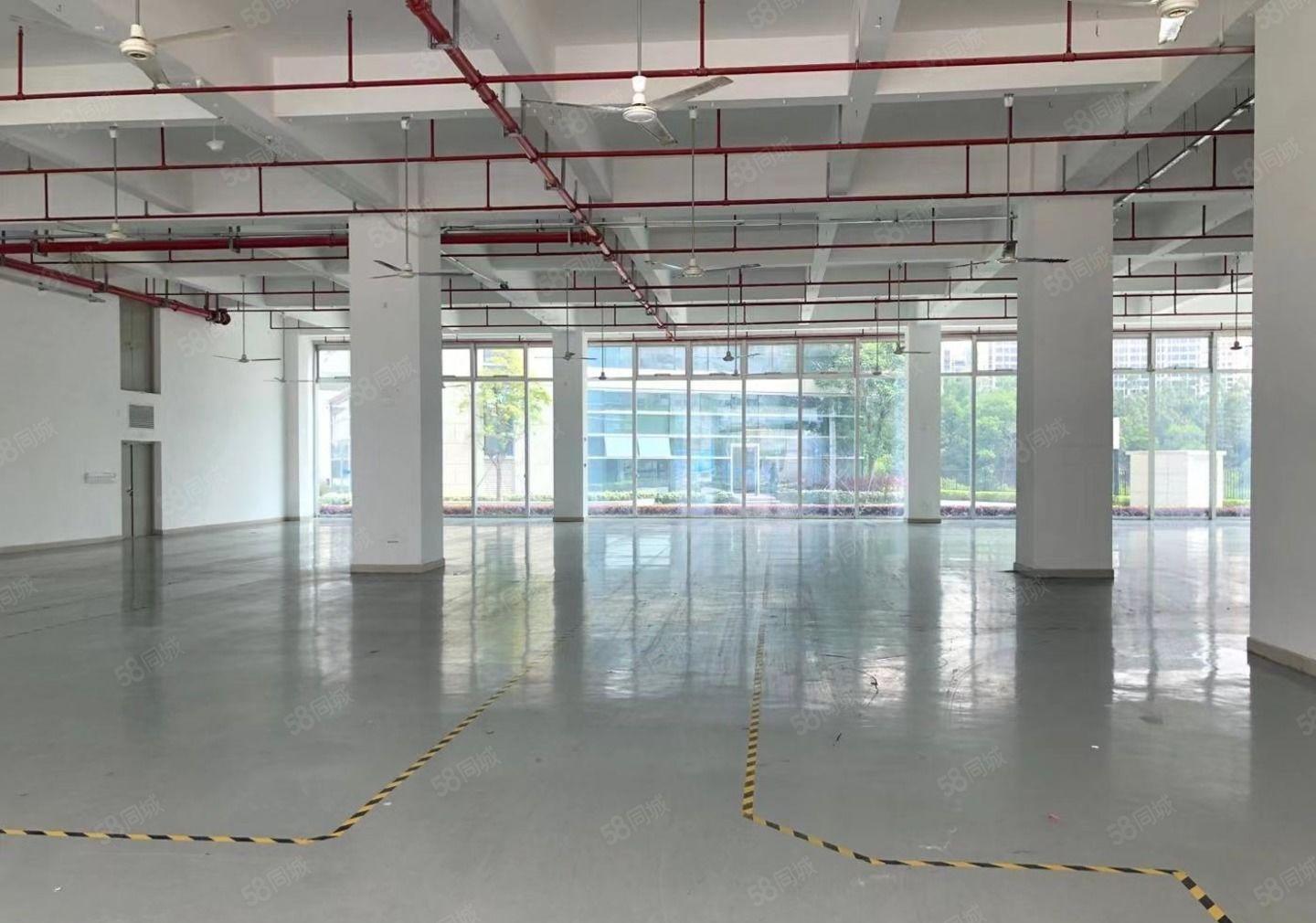 李朗新建原房东红本小独栋500至8000平出租，可分