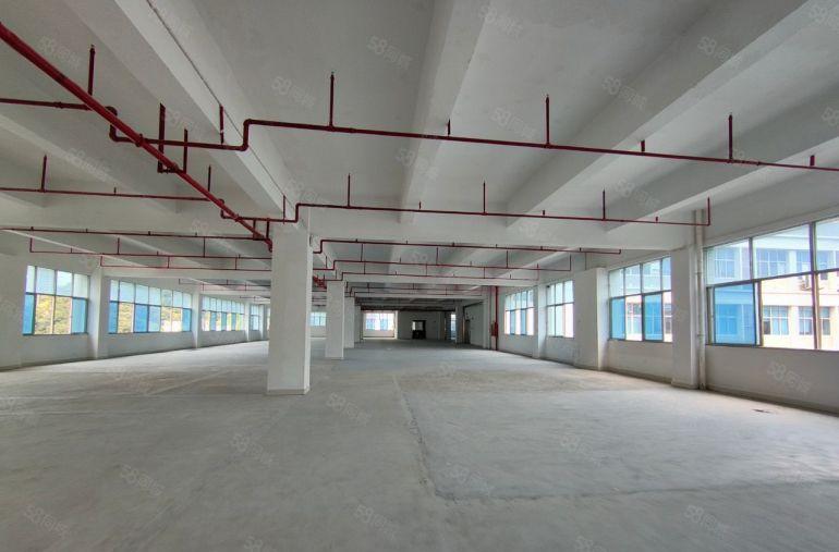 地铁口大型高新园区厂房现成装修单层1886平方直租！