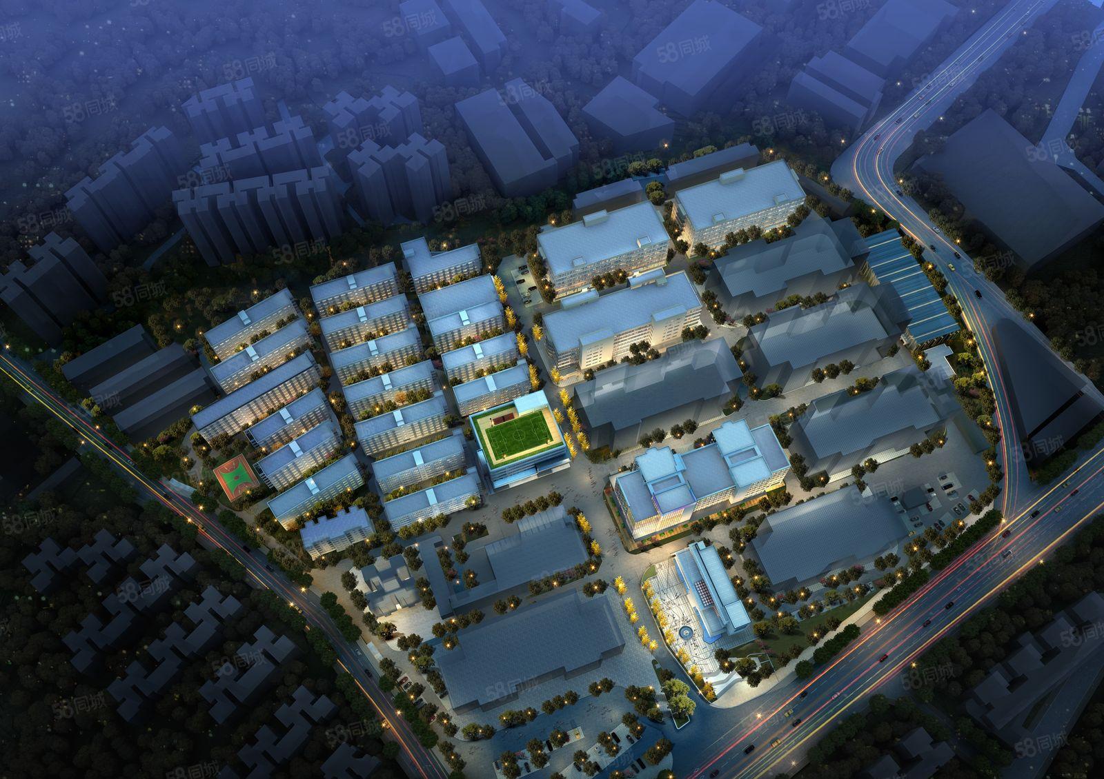 布吉百门前主干道边 一手独栋全新精装办公出租