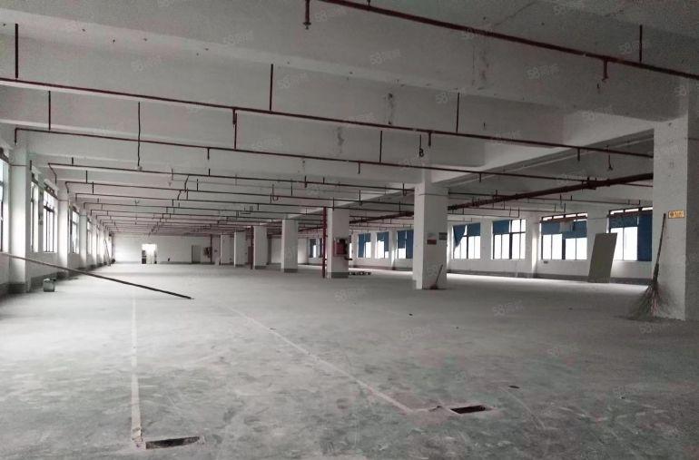 原房东红本厂房2500平米，带装修100平米起