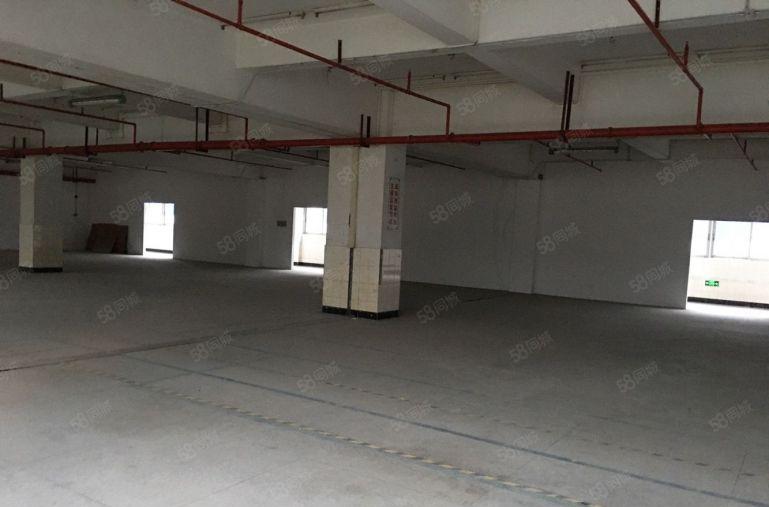 布吉丹竹头恒昊华物流园二楼300平米电商仓库出租