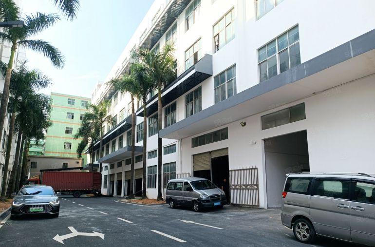 500平起分布吉李朗地铁站大型园区独栋4800平厂房仓库出租