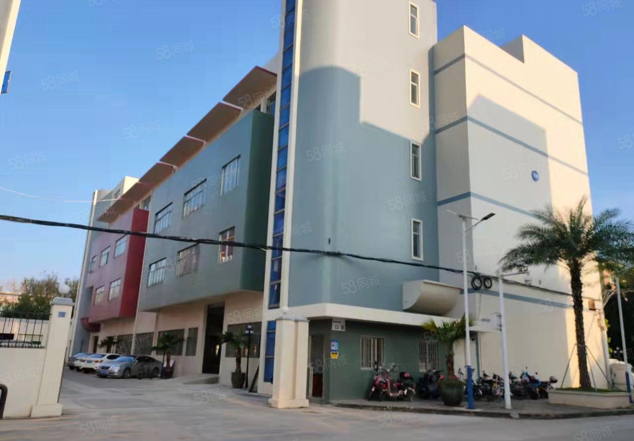 200平起租布吉丹竹地铁站电商园带精装修办公室厂房仓库出租