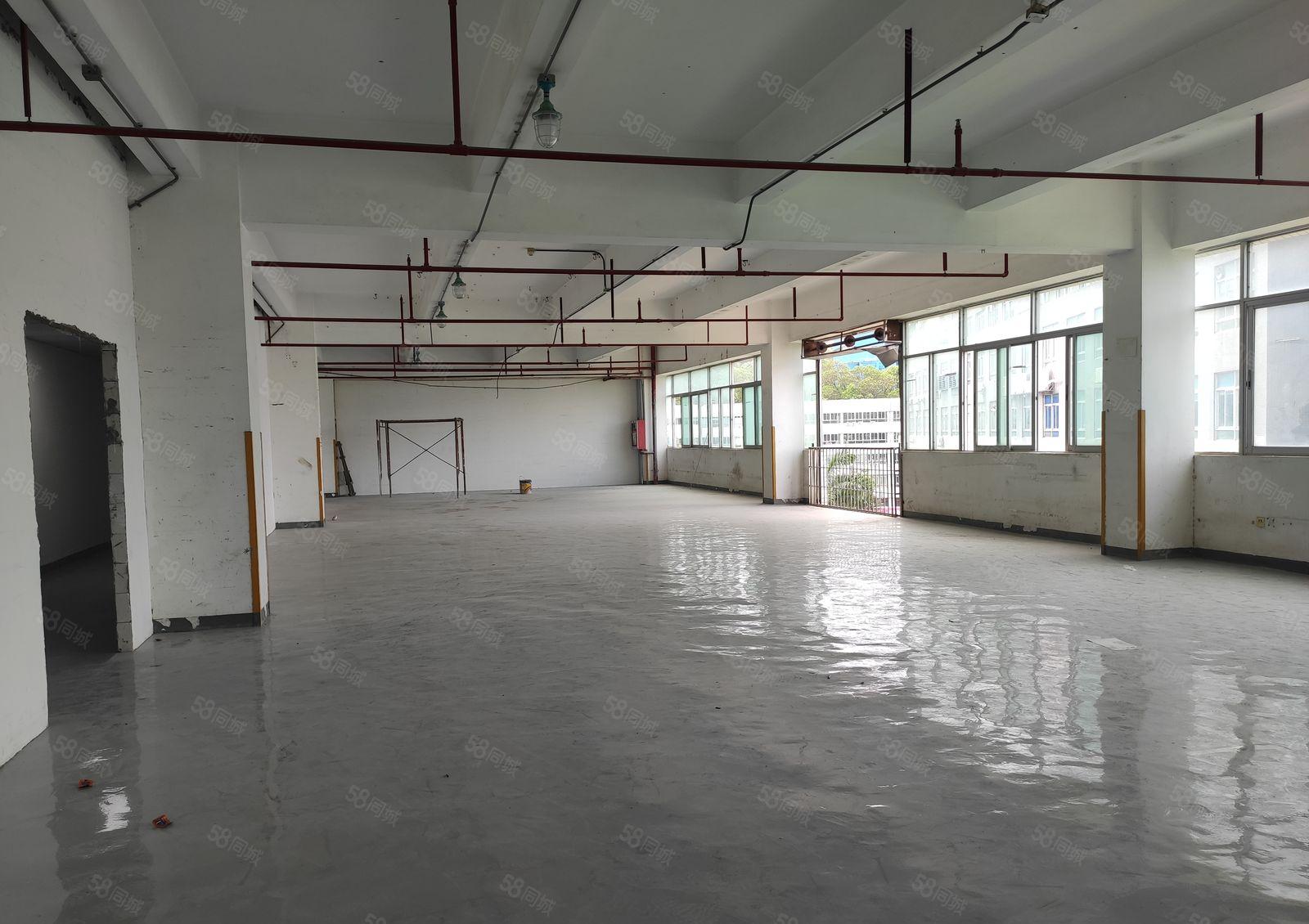 500平起租坂田吉华路花园式厂房8000平标准厂房仓库出租，