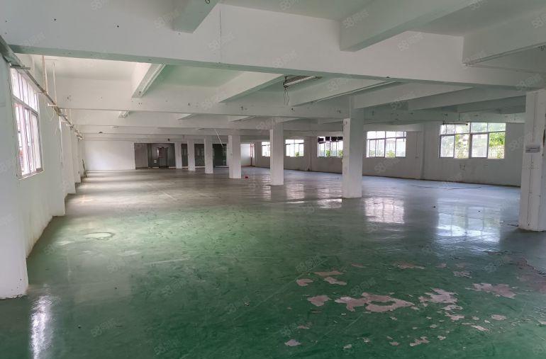 布吉百鸽笼地铁口厂房出租