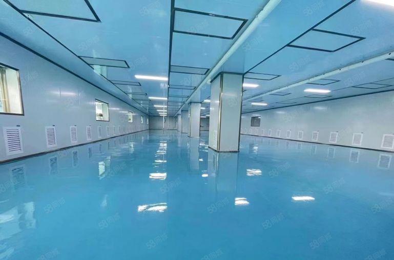 19元租布吉无尘车间2000平地铁口原房东现成装修无转让费的