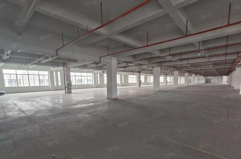 原房东独门独院工业园低价厂房出租一楼仓库出租厂房大小分租空地