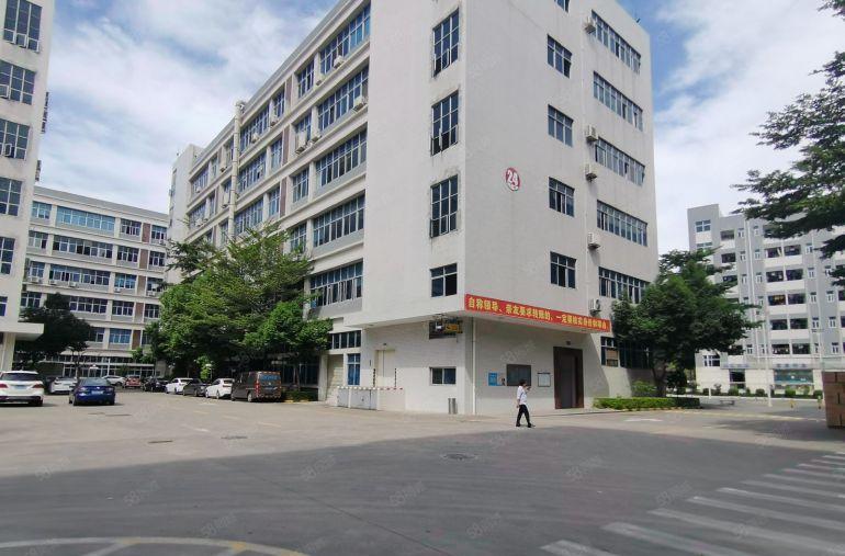 100平起租布吉上李朗1000平方带装修厂房仓库办公室出租