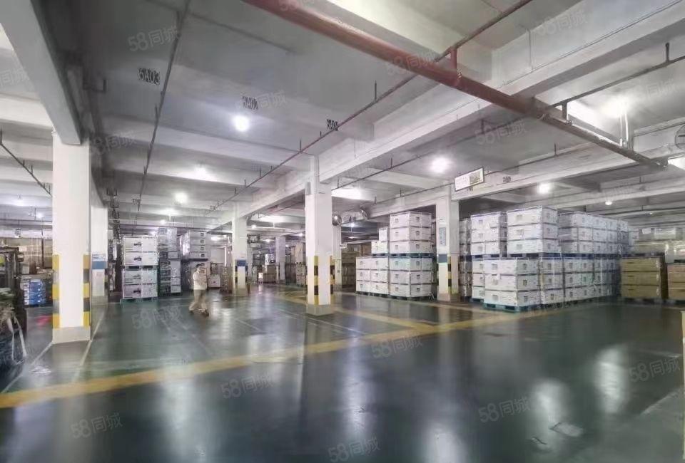 布吉原房东独院两栋共8万平，空地超大，面积实在，主干道旁