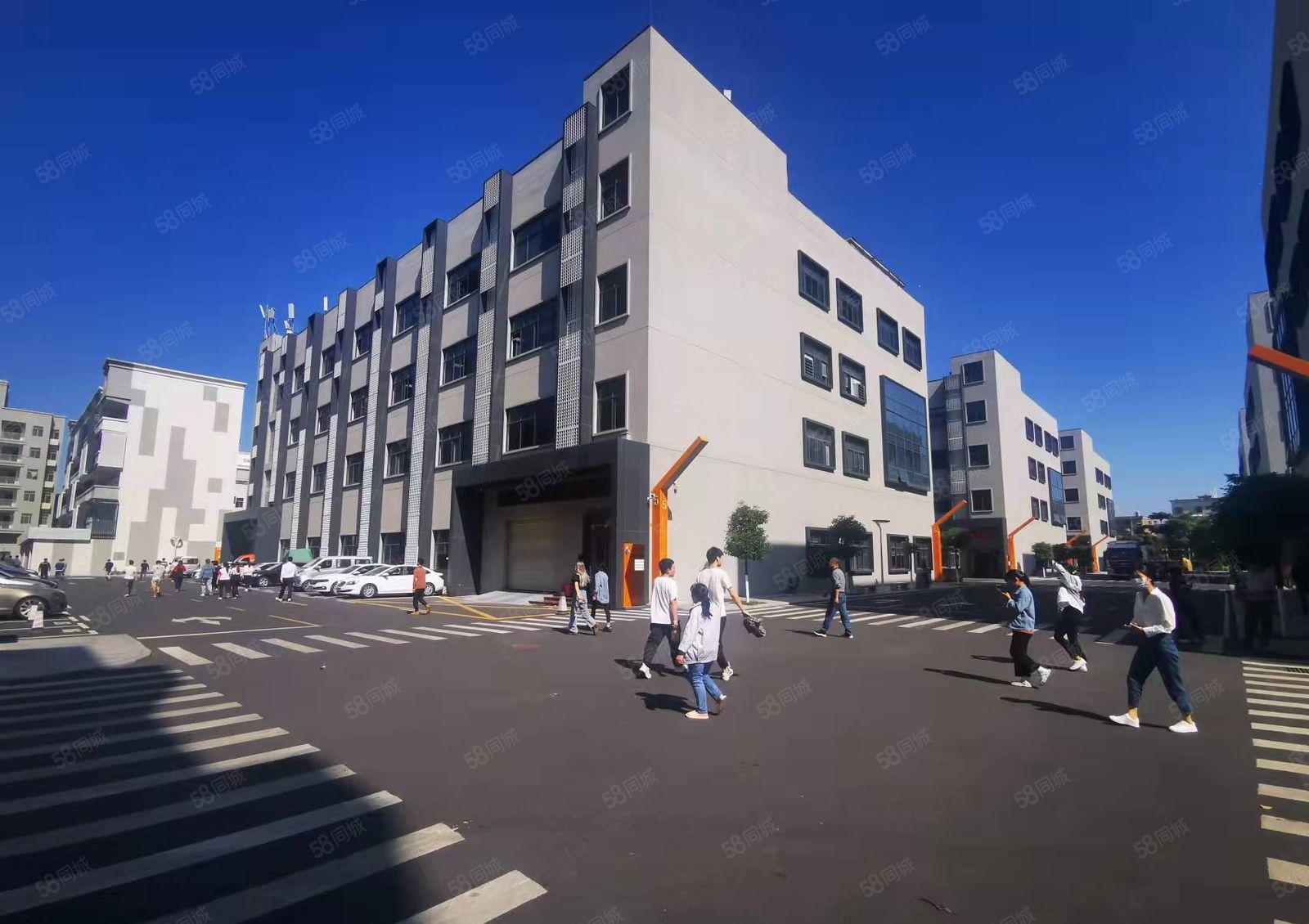 丹竹头地铁站边电商园新出楼上400平带装修办公室仓库厂房出租