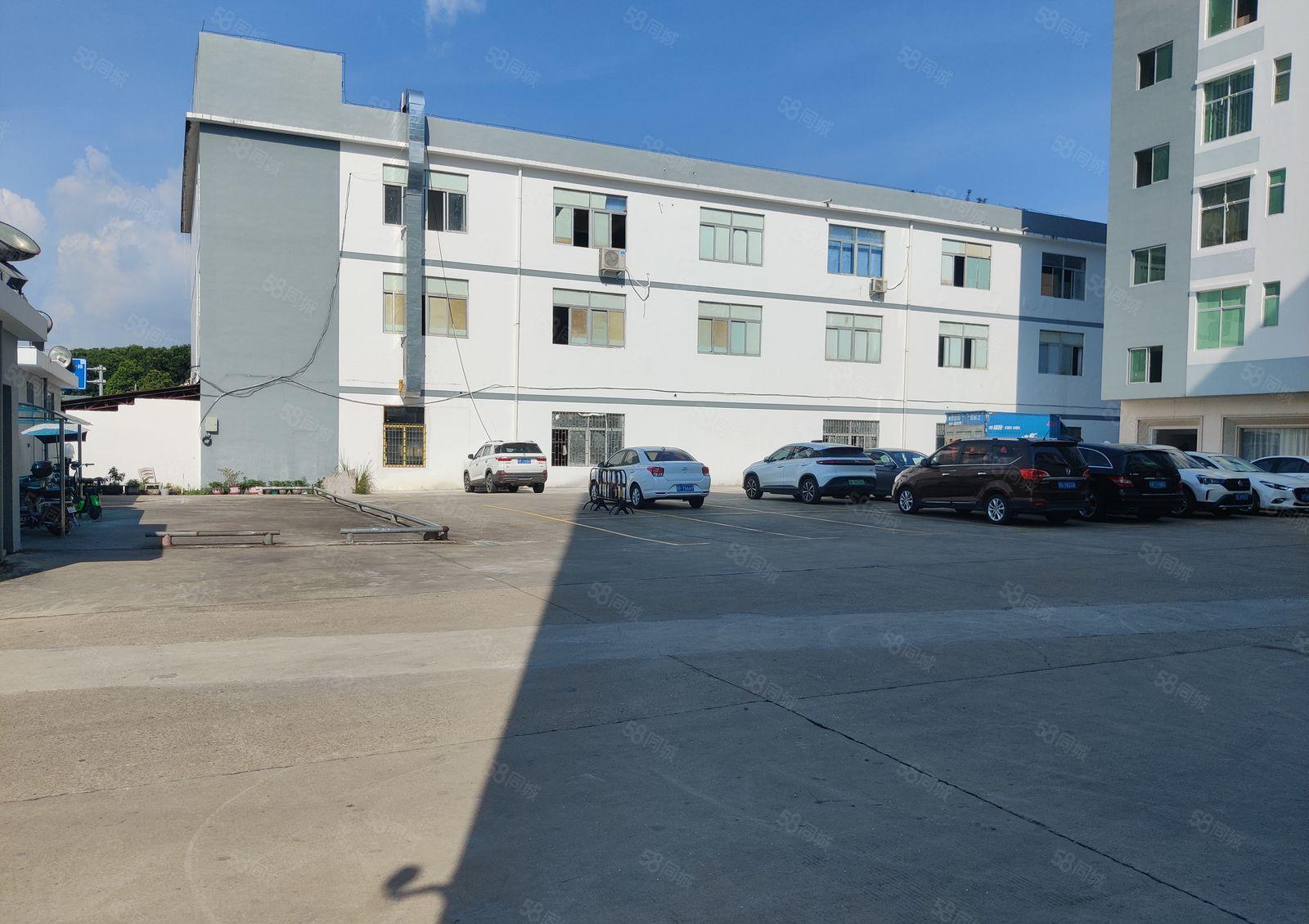 龙岗布吉丹竹头地铁1000平厂房出租300平起租适合电商抖音