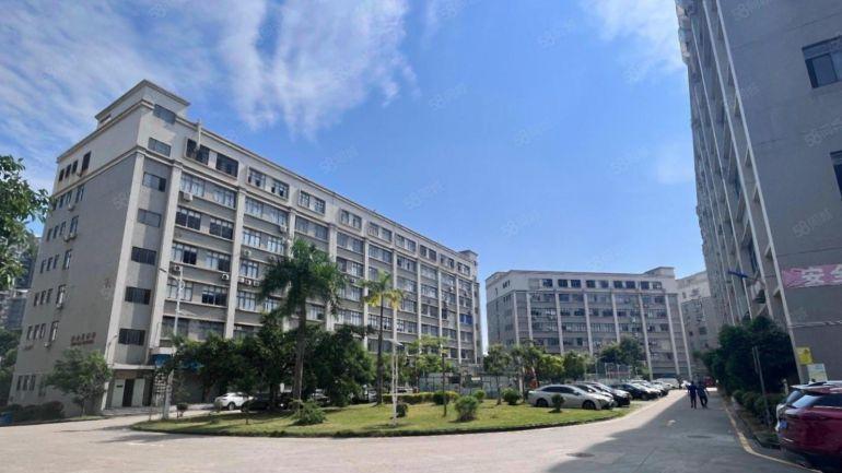 布吉李朗原房东红本厂房仓库300平起精装办公仓库一楼都有