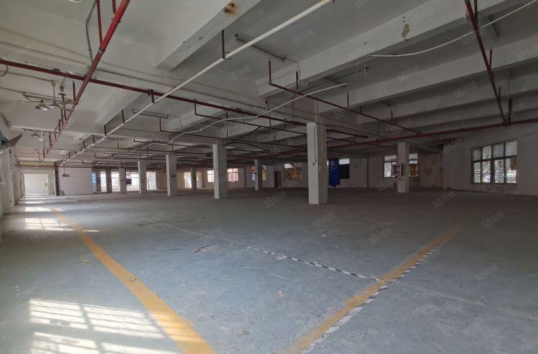 布吉丹竹头厂房出租3800平仓库出租整租分租超大空地高速路口