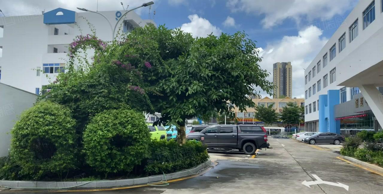 布吉百鸽笼附近仅有500平办公厂房仓库出租交通便利生活方便