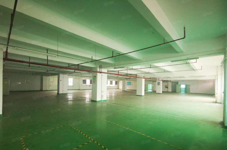 布吉南岭独院2000平厂房出租带装修实际面积出租可分租