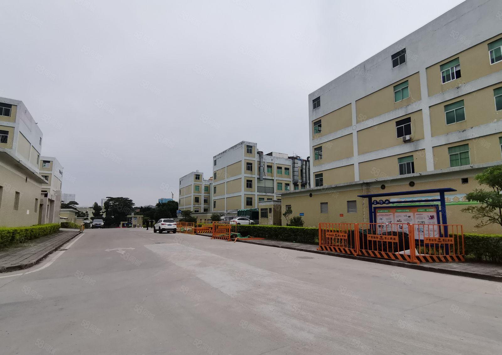 手慢无！李朗珠宝园旁边1300平标准厂房招租大小可分房东隔墙