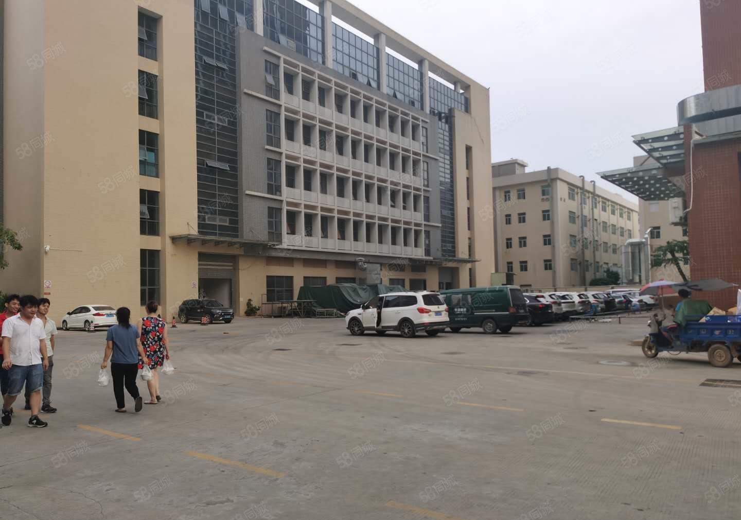 布吉西环路厂房仓库500平1000平2000平出租35起租