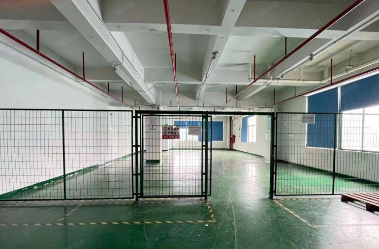 布吉上李朗原房东厂房出租 面积1300平 租20元现成装修