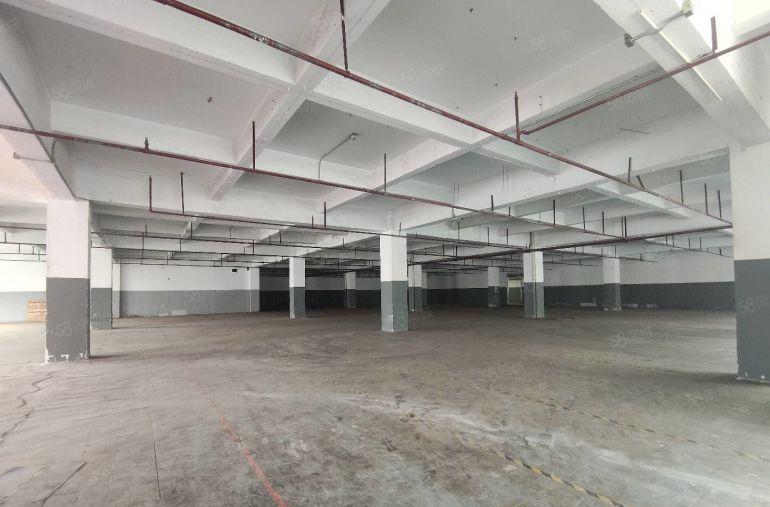 （出租）布吉李朗独栋11600平 单层2900，大小可分租。