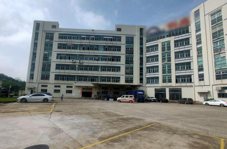 布吉丹竹头原房东1850平精装办公厂房仓库出租