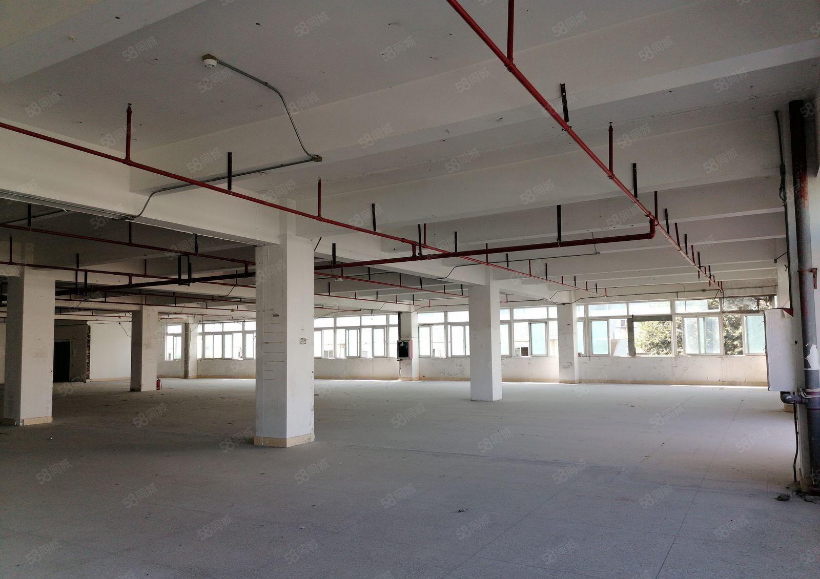 布吉主干道高实用率一手红本厂房仓储100平起租