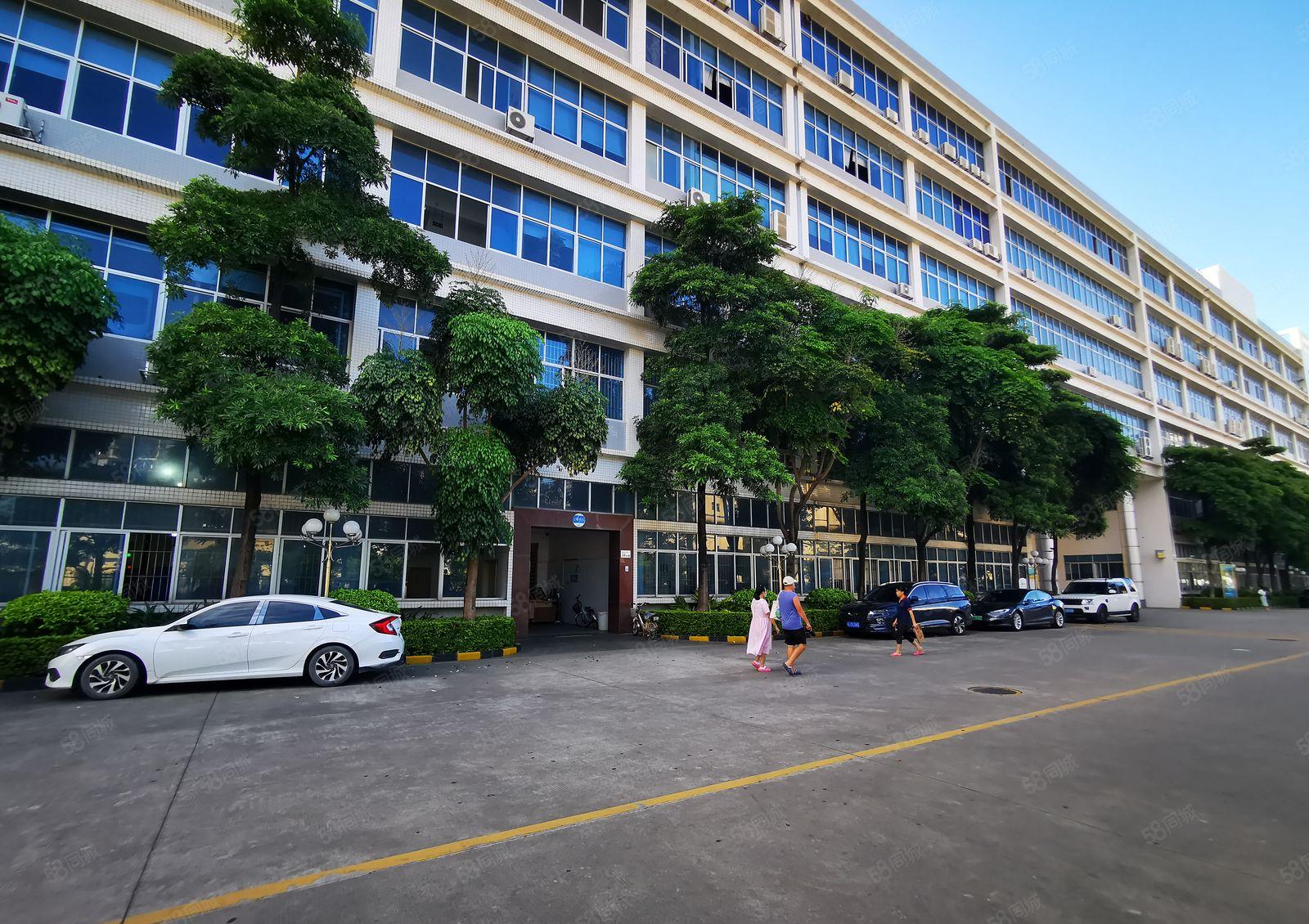 原房东！布吉丹竹头1.5万独院，原房东分租，厂房仓库低价出租