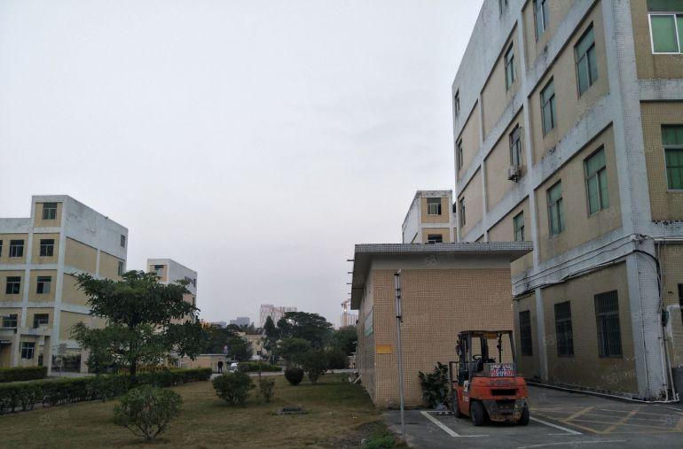 布吉李朗主干道边原房东花园式厂房1~2层各2500平方出租！