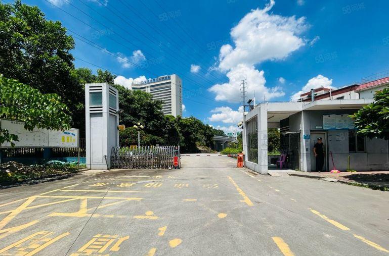 布吉布澜路一楼整层独栋开发商直租 200平起租，布澜路