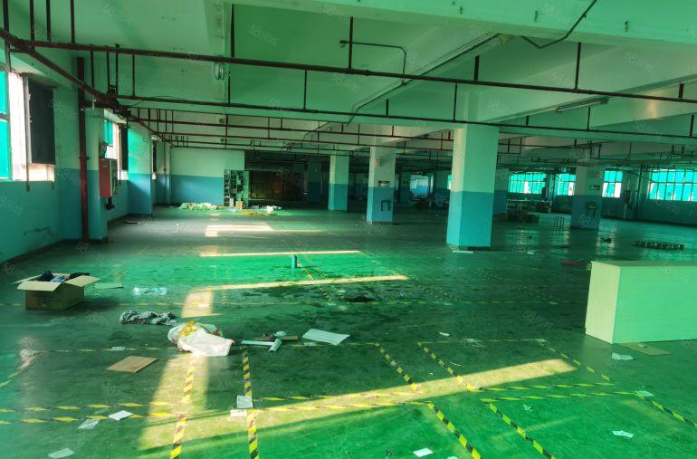 布吉凉帽山地铁站附近新出2楼整层2462平一手业主有红本出租