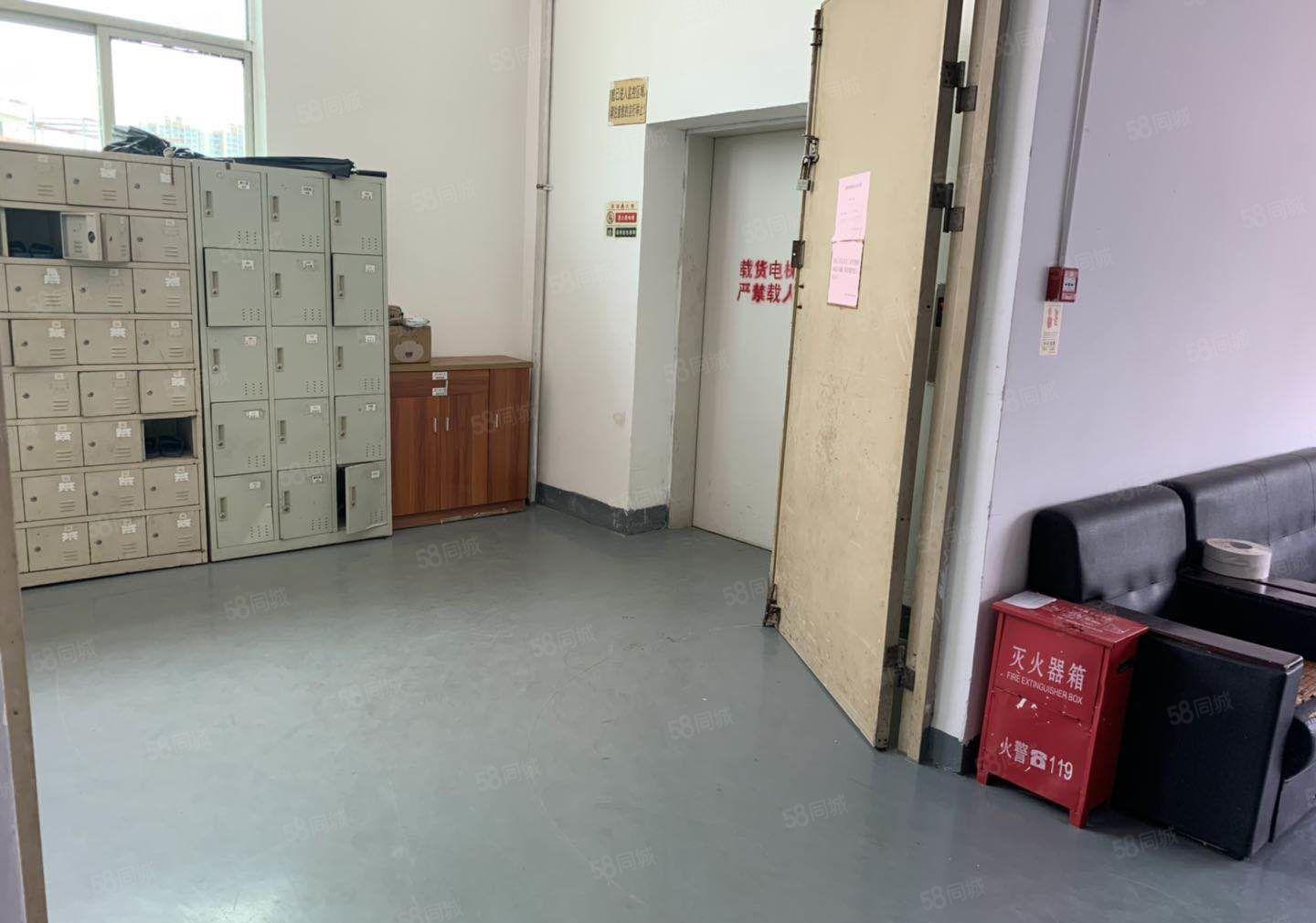 布吉李朗科技园精装1000平厂房出租500平起租适合电子加工