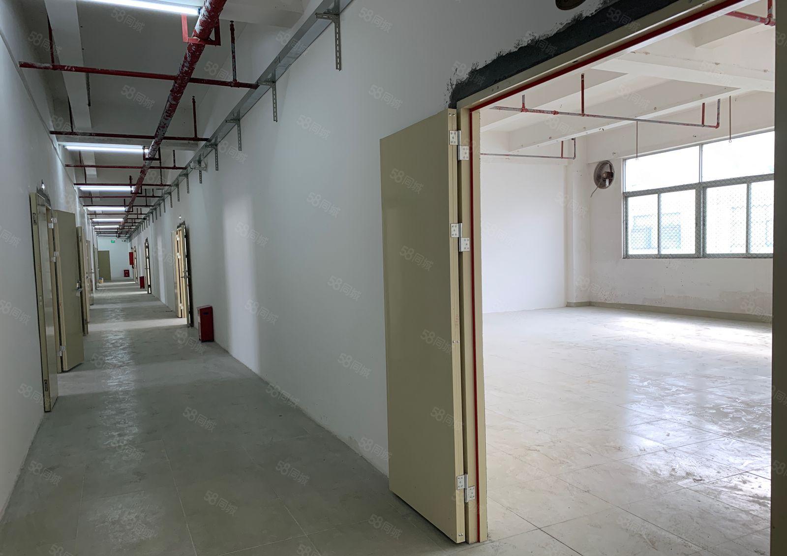 丹竹头 闽鹏程物流园 210平米138平米厂房