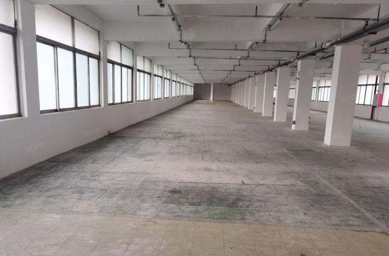 布吉布沙路南岭新出2楼830平房产证红本村委一手使用率高出租