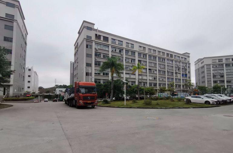 特价19元布吉丹竹头厂房出租3000平，大小可分租300平起