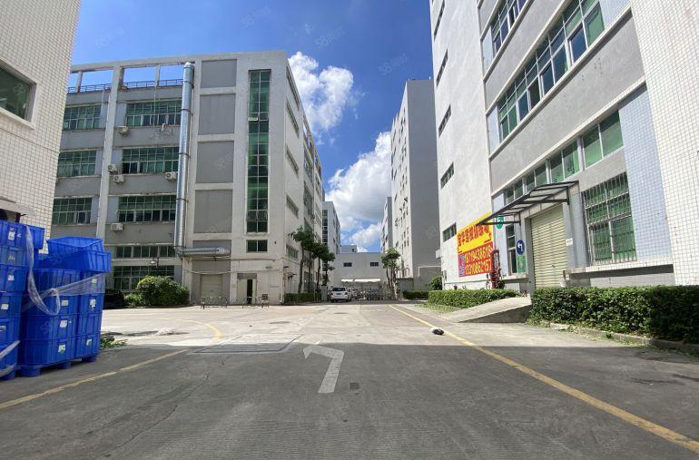 布吉丹竹头地铁口精装修厂房出租一楼电商仓库办公大小面积分租