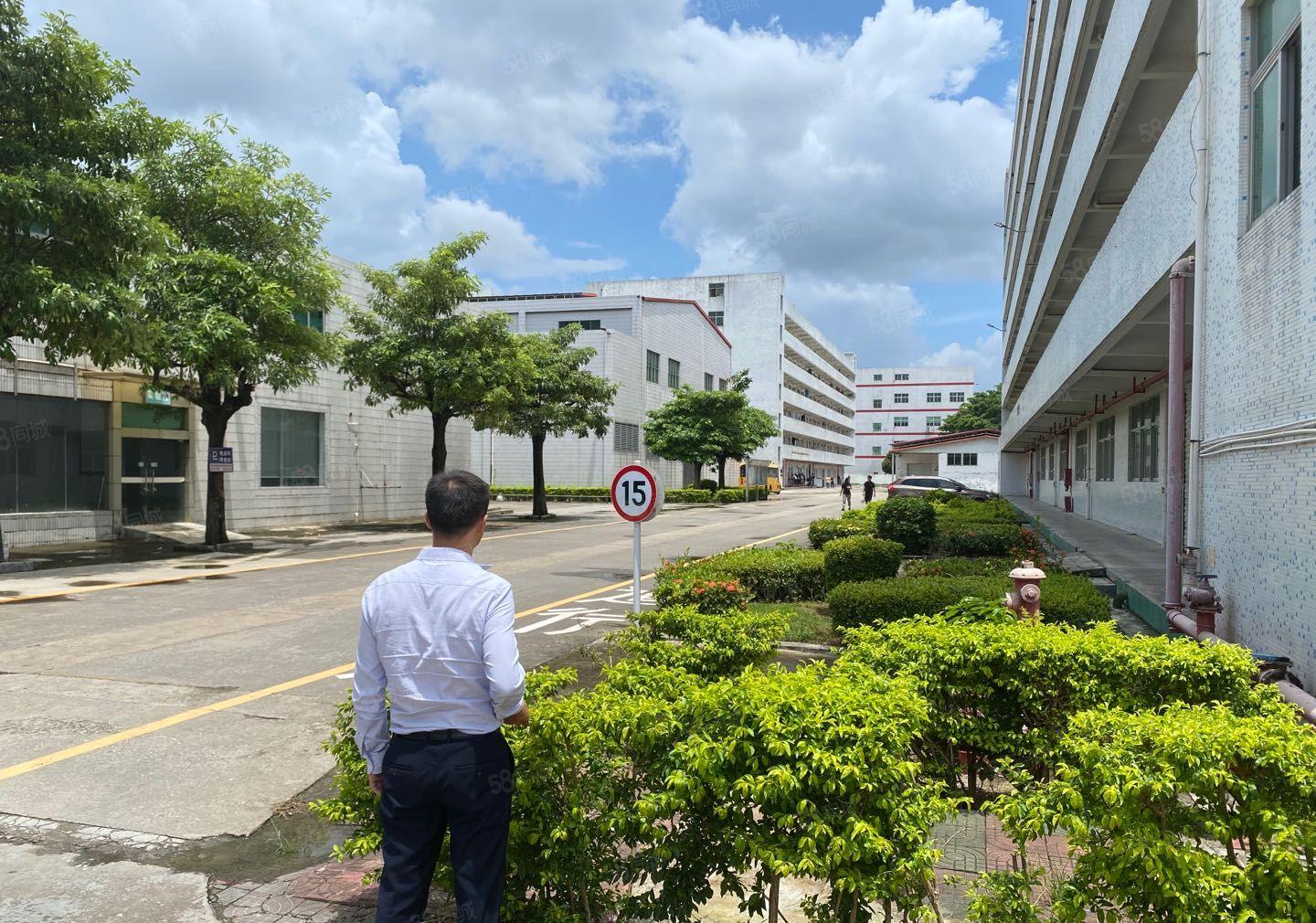 布吉丹竹头1000平电商办公厂房仓库出租可分租空地超大