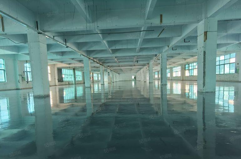 龙岗布吉工业区标准厂房出租三楼整层3000平方500平起分租