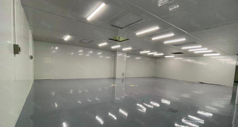 布吉地铁口带装修200平方至2000平方厂房出租电商仓库出租