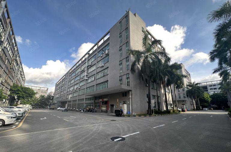 布吉丹竹头原房东大型科技园楼上精装修500平方办公厂房出租