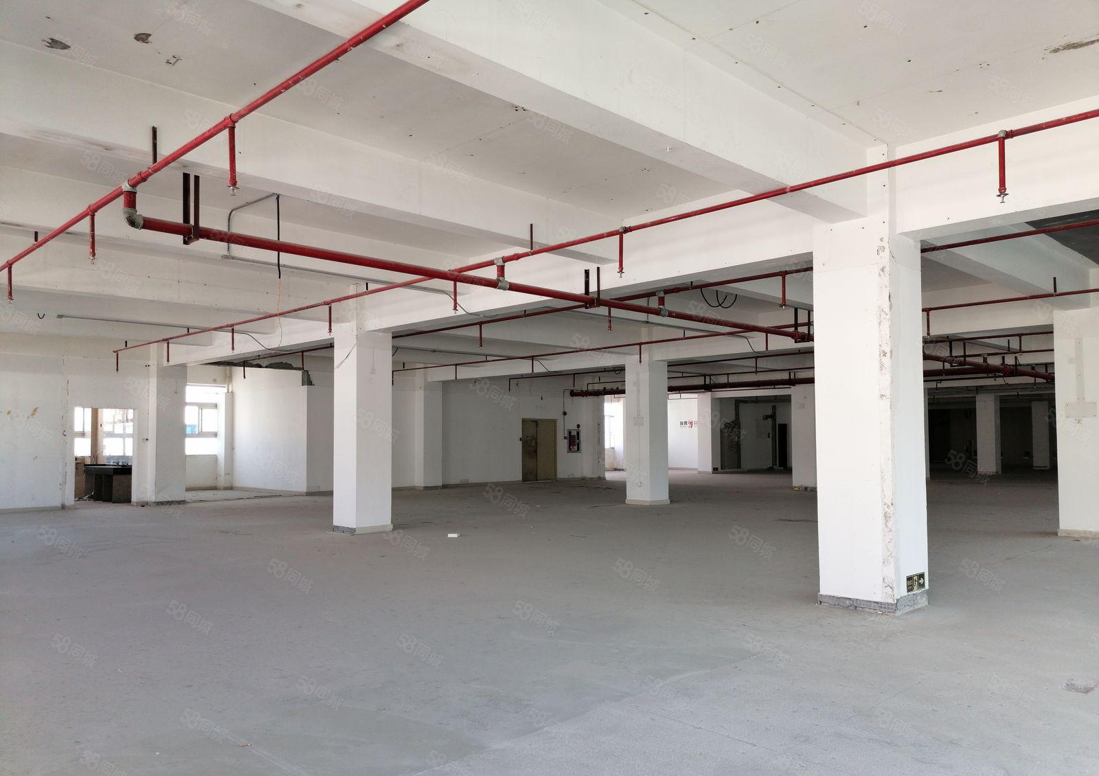 布吉 中交科技城 一手红本 100平至2610平厂房仓储出租