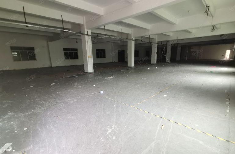 深圳布吉李朗厂房出租3500平独门独院仓库出租分租超大空地