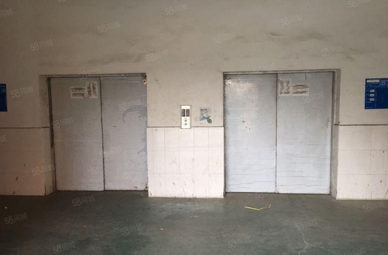 物业直租布吉丹竹头恒昊华物流园三楼620平米电商仓库出租