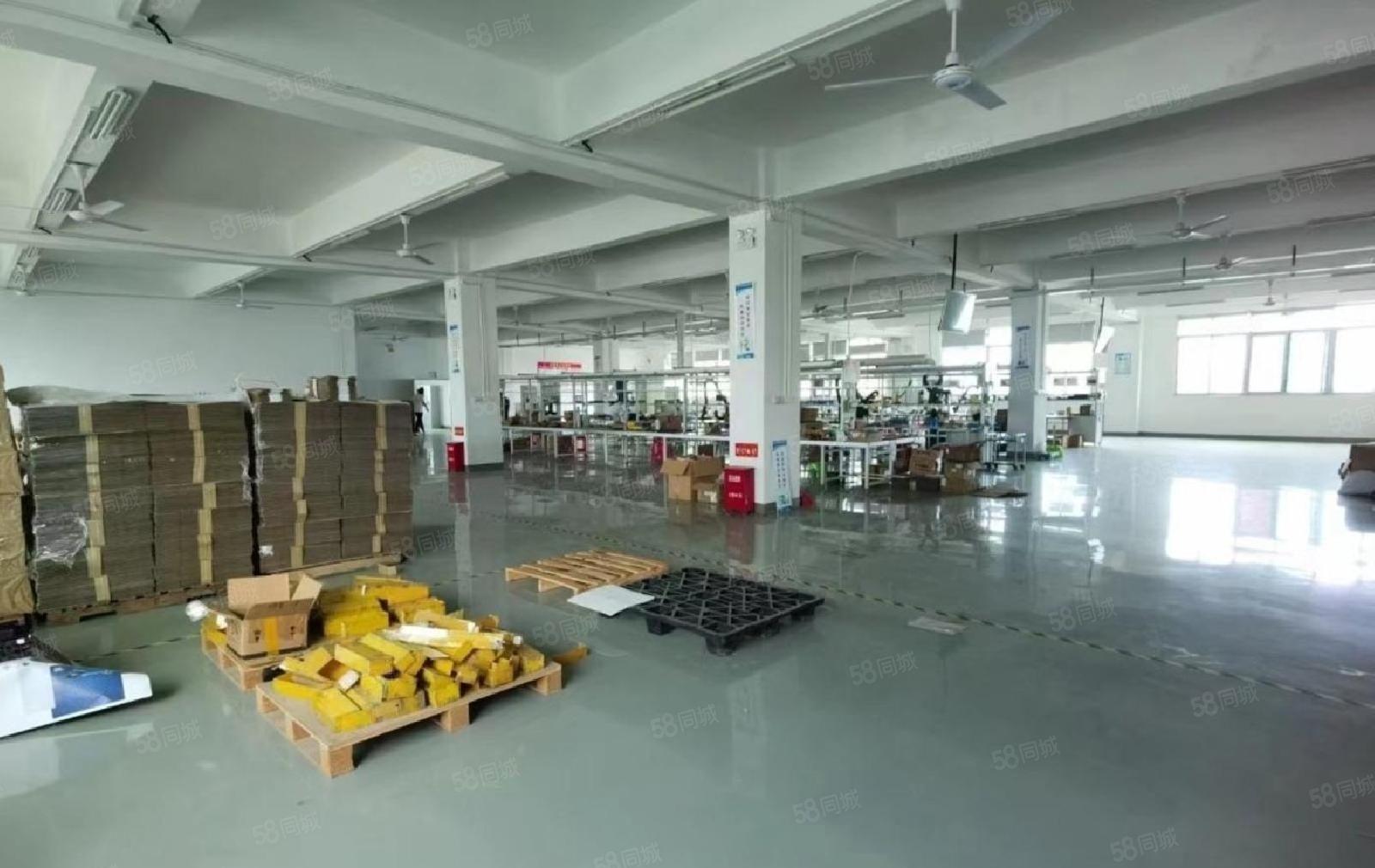 龙岗布吉，新出厂房楼上1000平带精装修可分租