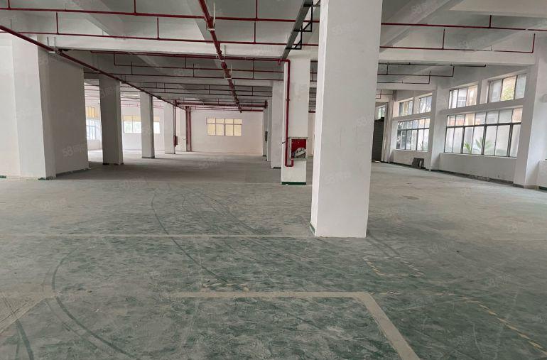 布吉大芬厂房出租200至1800平大小可分租（实际面积出租）