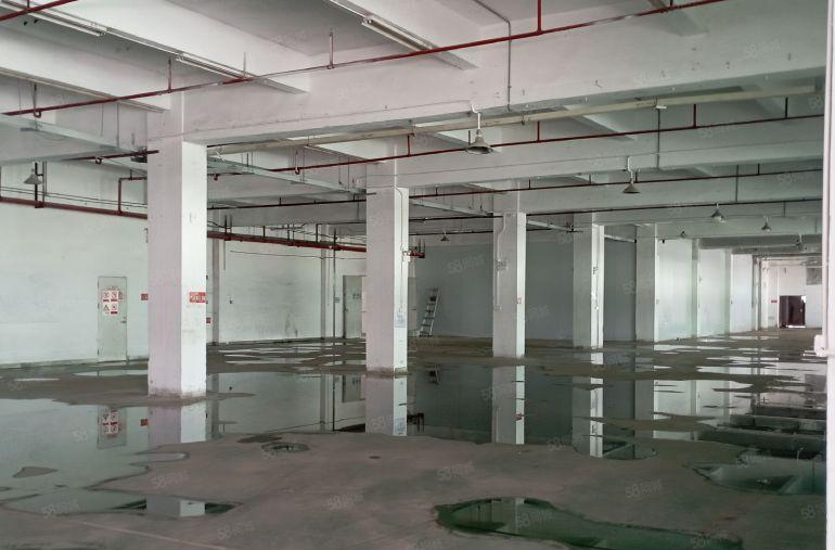 低价处理布吉南岭龙山工业园新出楼上6500平厂房仓库出租可分