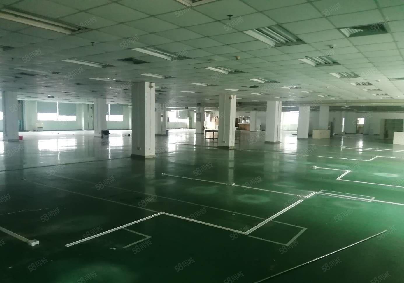 300平起租百鸽笼工业区2万平重工业厂房 带精装修及地坪漆