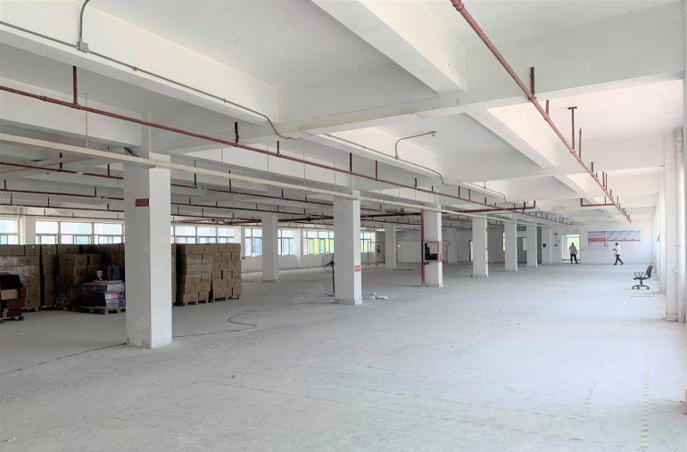 布吉丹竹头产业园红本2200平电商办公室厂房仓库出租可分租