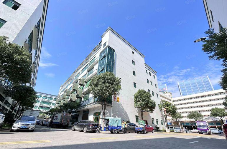 布吉上李朗地铁口200平至3000平厂房出租电商一楼仓库出租