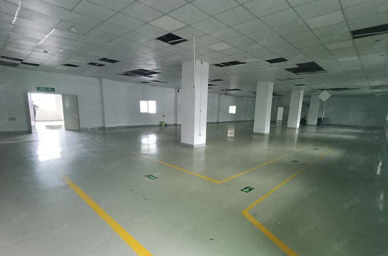 22块起租 李朗地铁口原房东一楼2000平实际面积厂房出租