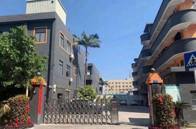 龙岗布吉大芬独门独院实业客分租一楼1100平方带精装修办公室